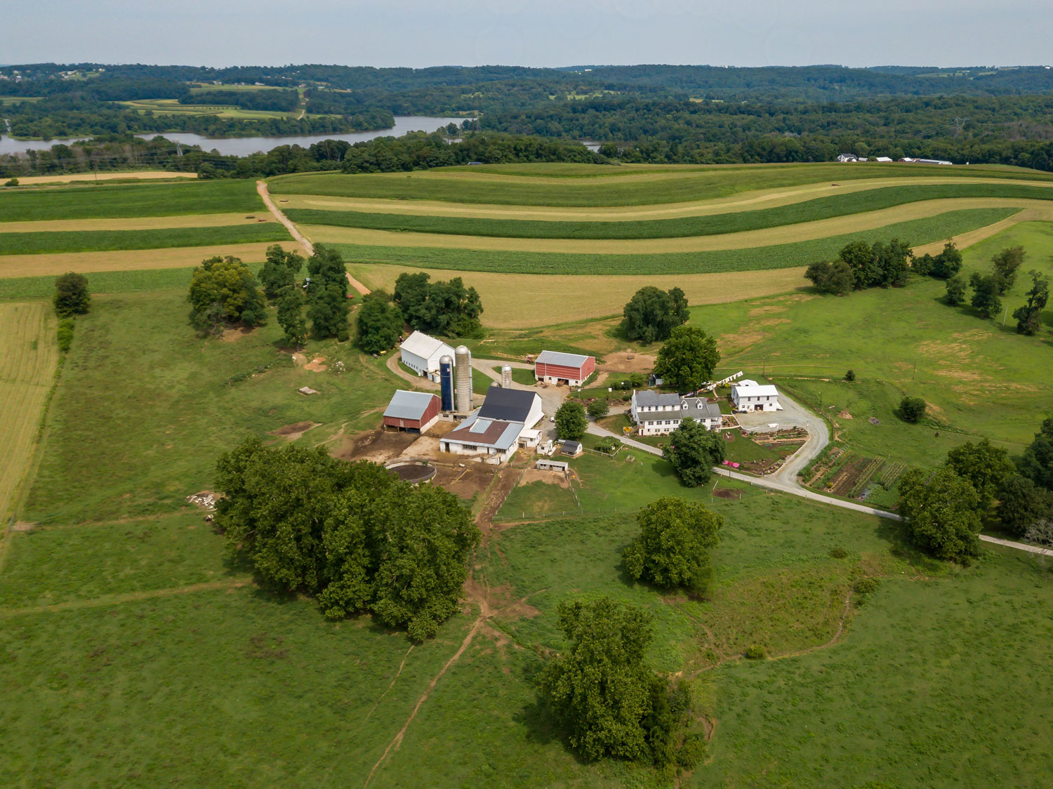 A Lancaster County farm in Drumore PA